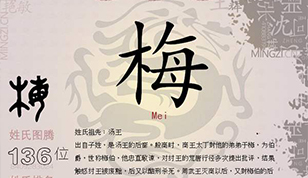 梅姓这种稀有的姓，有哪些惊艳的名字