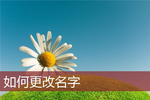 如何更改名字