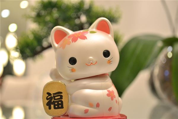 招财猫的名字怎么起？