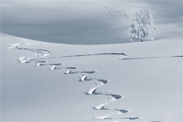 关于雪的网名取名技巧