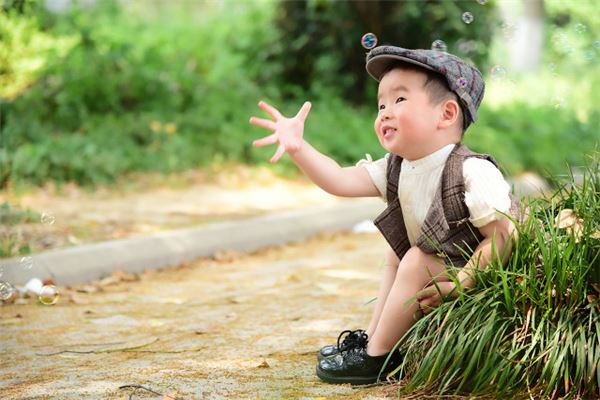 生肖狗年刘姓的男孩名