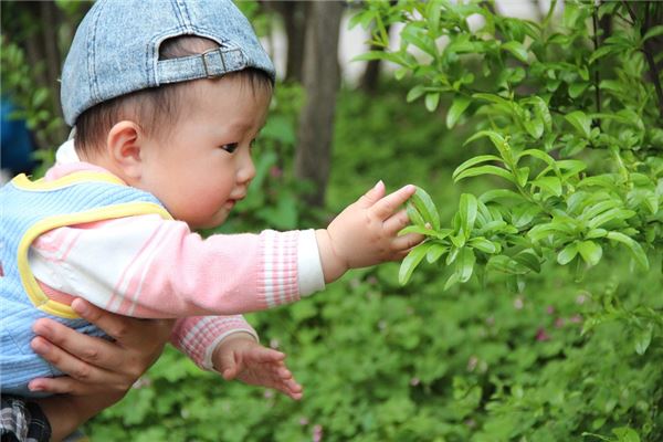 五行缺水木的男孩名