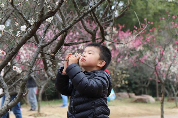 五行缺木的男孩如何起小名