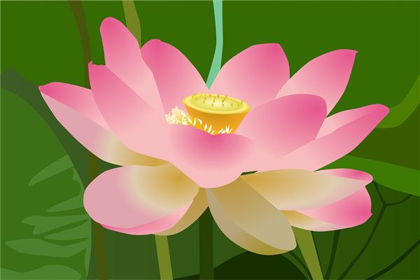 带特殊符号的网名大全