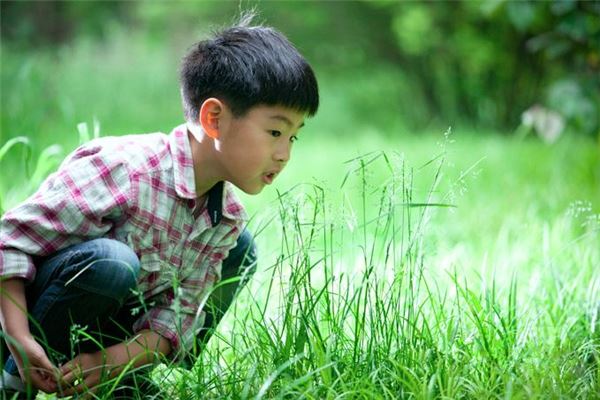 五行缺水缺木的男孩名字