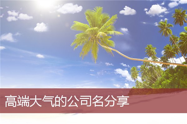 高端大气的公司名分享