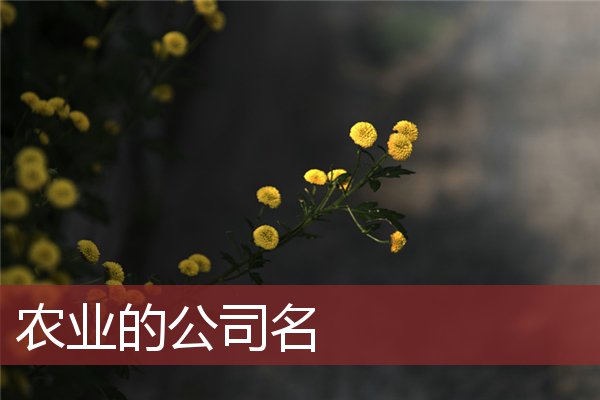 农业的公司名