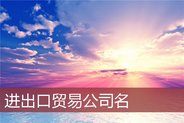 进出口贸易公司名