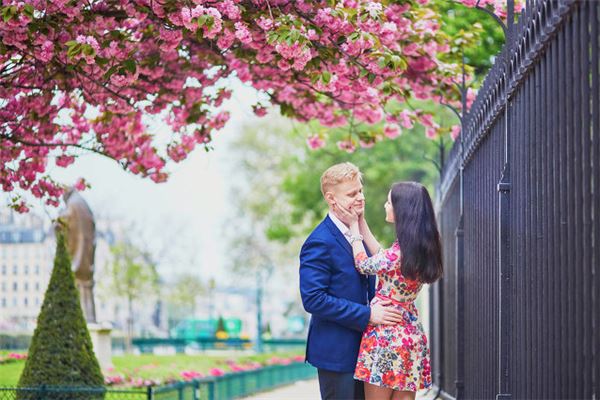 男鼠女牛的婚配情况