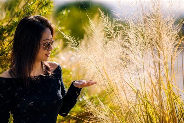 属鼠的女人花心吗