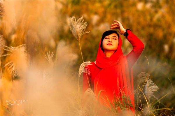 属蛇的人今年财运如何