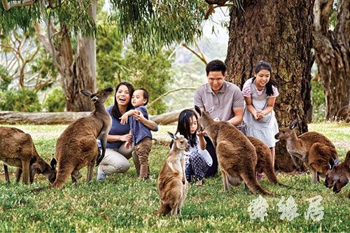 鼠年孩子起名带什么好