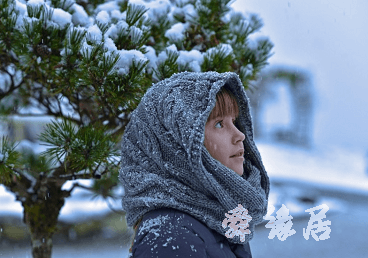 何姓女孩名字大全2019