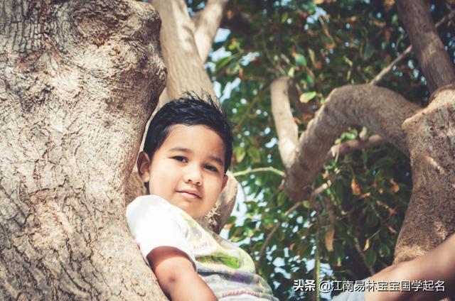 这些胸怀大志的男孩名字，征途远大，未来肯定大有可为_宝宝起名_宝宝起名,取名