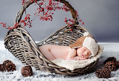 适合牛年出生女宝宝高分名字