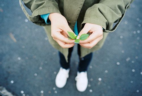 孟姓女宝宝起名_姓孟的女孩名字(满分/高分)