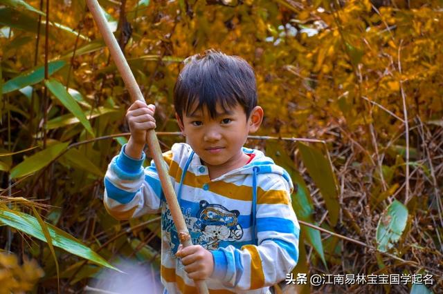 这些诗意浪漫的宝宝名字，个个静雅有气质，向美好生活出发_宝宝起名_宝宝起名,八字起名