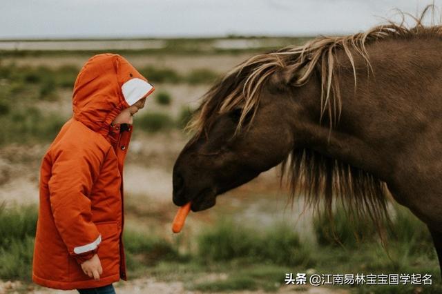 宝宝起名新思路:300个精选尚书、论语中新颖有内在的好名字_宝宝起名_宝宝起名,八字起名