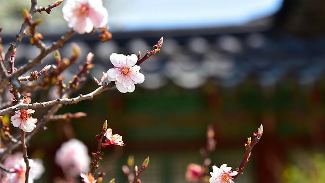 男孩名字大全：《楚辞》学富五车的男宝宝名，个个都冷艳霸气