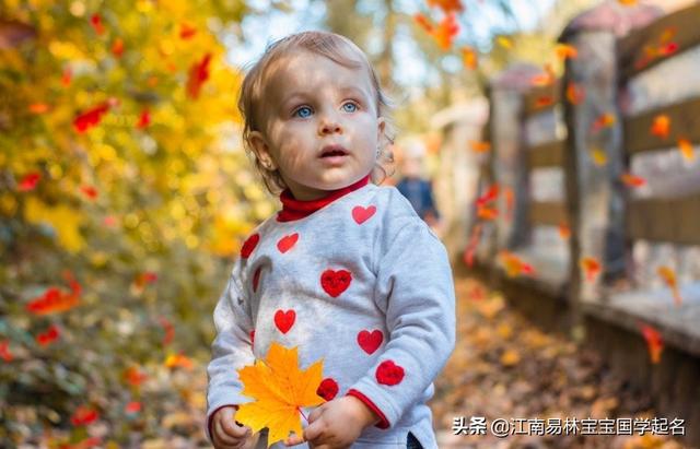 300个出自诗经楚辞的女孩名字，又美又飒，值得珍藏_宝宝起名_起名,八字起名