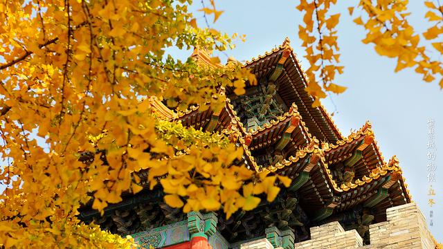 10个带登字炯炯有神的小男孩名字，你“心水”哪个