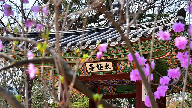四书五经大全：敏而好学的男宝名字，太让人难以招架了