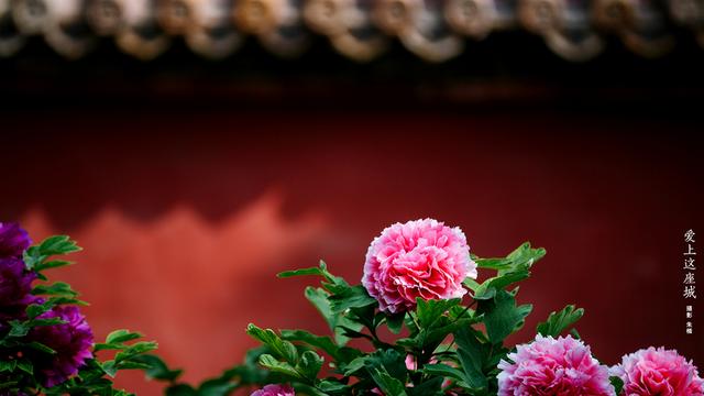 带源字风流潇洒的宝宝名，灵韵充沛