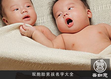 2017如何给双胞胎男孩取名