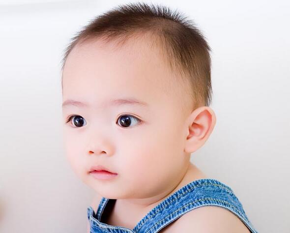 2017年1月出生的男孩女孩名字 2017鸡宝宝起名有哪些禁忌