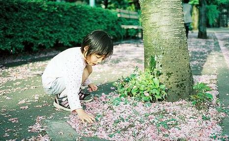 2016韩姓男女宝宝起名字大全