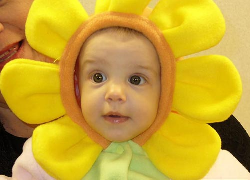 百家姓氏宝宝起名之胡氏的发展