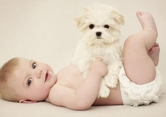 2016年孙姓许昌宝宝起名字大全