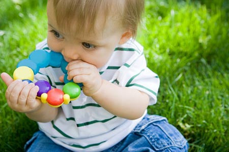 2016猴年赵姓宝宝姓氏的由来