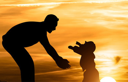 2021牛宝宝乳名大全