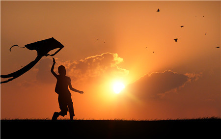 属牛的宝宝适合用什么字