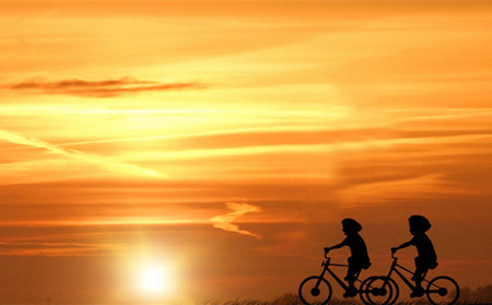 猪年取名好字大全