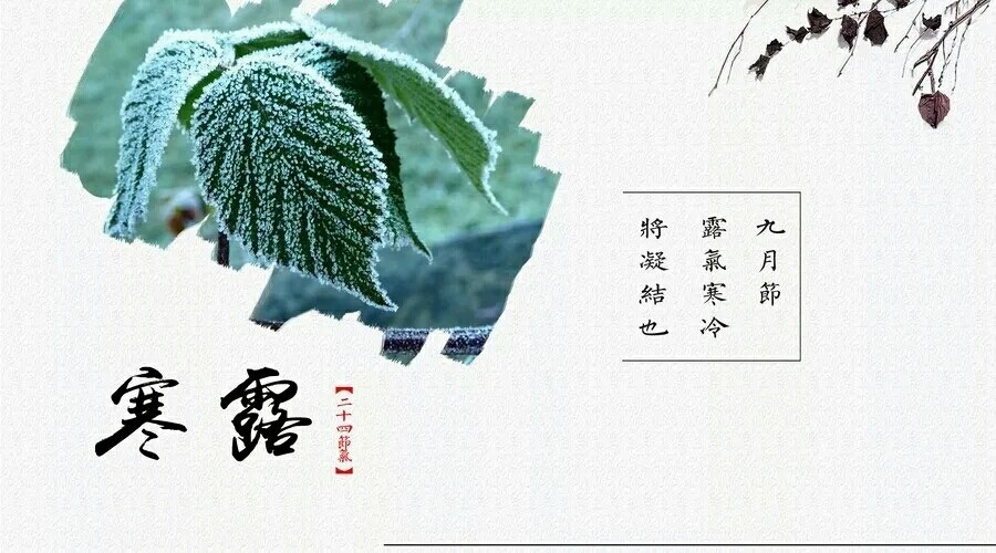 寒露节气出生的宝宝起名